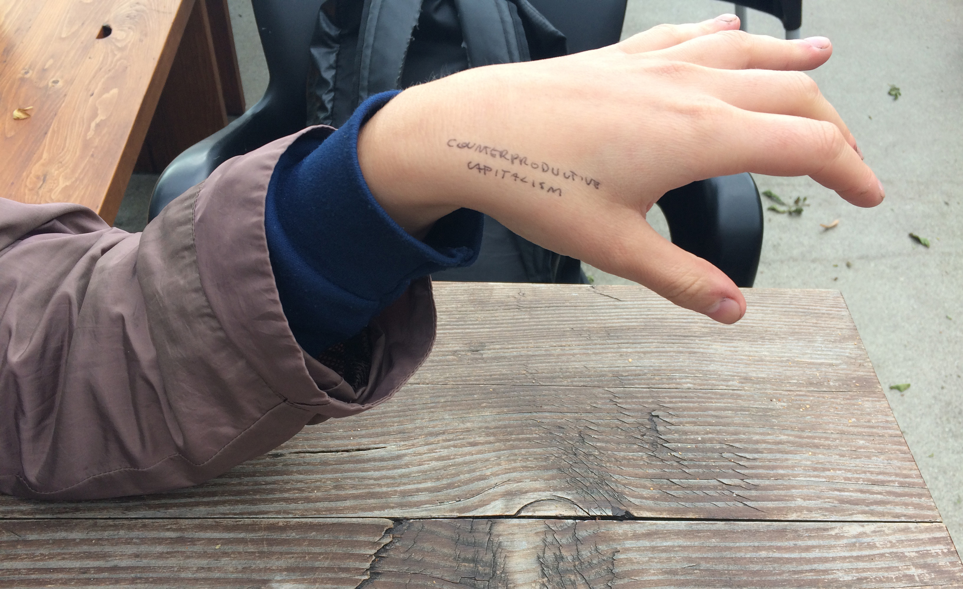 counterproductive capitalism